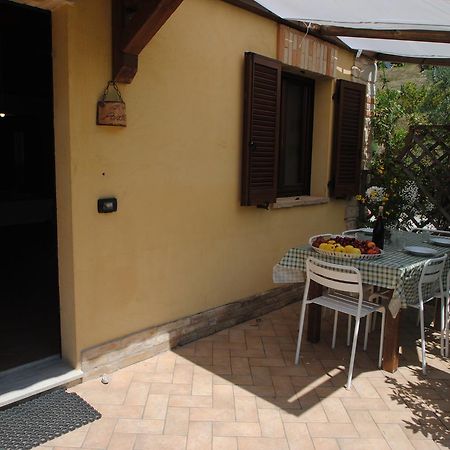 Montalto delle MarcheAgriturismo Il Sentiero别墅 外观 照片